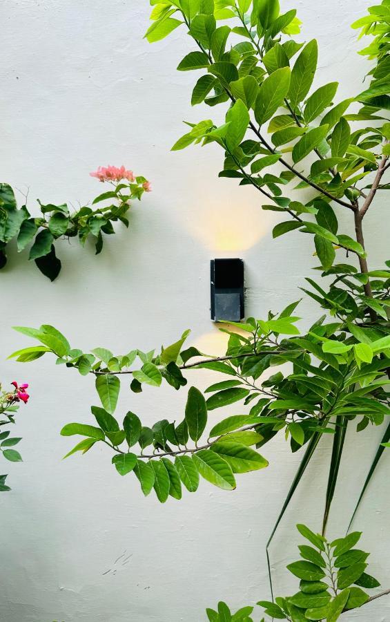 Anandmai Ghar - A Homestay In גוואליור מראה חיצוני תמונה